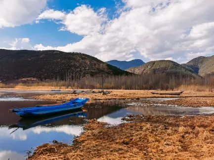 Winning Casino Mobilna aplikacija